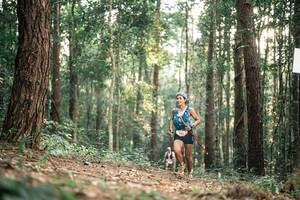 BIB: 
                            <button type="button" onclick="openModal(25261702)" class="btn btn-primary btn-sm float-right btn-popup" data-toggle="modal" data-target=".modal-high-quality">
                        <i class="fas fa-shopping-cart"></i> Add to Cart
                    </button>
                                            <button type="button" onclick="isThisMe(25261702, true)" class="btn btn-success btn-sm float-right btn-popup btn-isme hidden" data-toggle="tooltip" data-placement="bottom" title="นี่คือรูปของคุณใช่ไหม คลิกที่นี่เพื่อเอาเข้าอัลบั้ม">
                        <i class="fas fa-plus"></i> Add to album
                    </button>
                    <button type="button" onclick="isThisMe(25261702, false)" class="btn btn-warning btn-sm float-right btn-popup btn-isnotme hidden">
                        <i class="fas fa-ban"></i> Remove from album
                    </button>